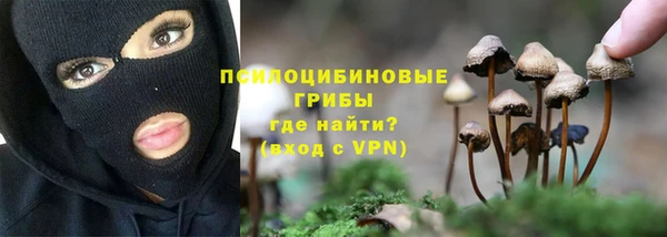MDMA Карталы