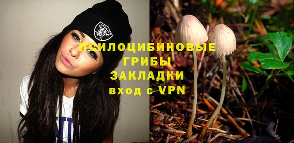 хмурый Карпинск