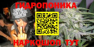 ГАЛЛЮЦИНОГЕННЫЕ ГРИБЫ Гусь-Хрустальный