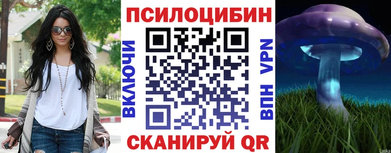 Псилоцибиновые грибы ЛСД  ОМГ ОМГ зеркало  Михайловка 