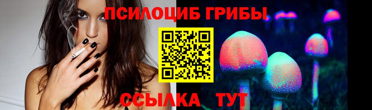 Псилоцибиновые грибы Psilocybine cubensis Михайловка