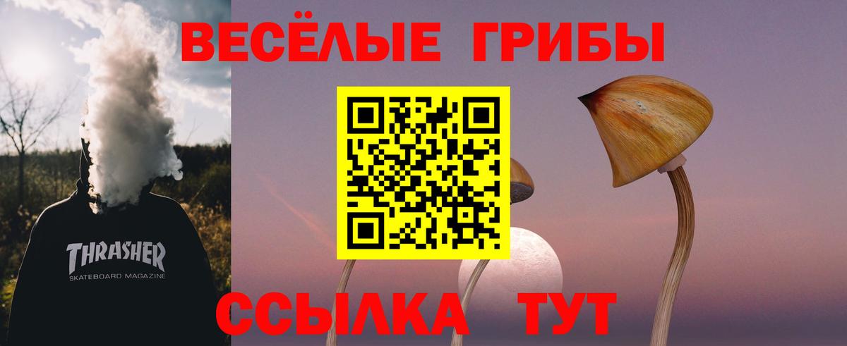 Канабис  LSD-25  COCAIN  Гашиш  Меф кристаллы  Вход с VPN  Михайловка  A PVP СК кристаллы 